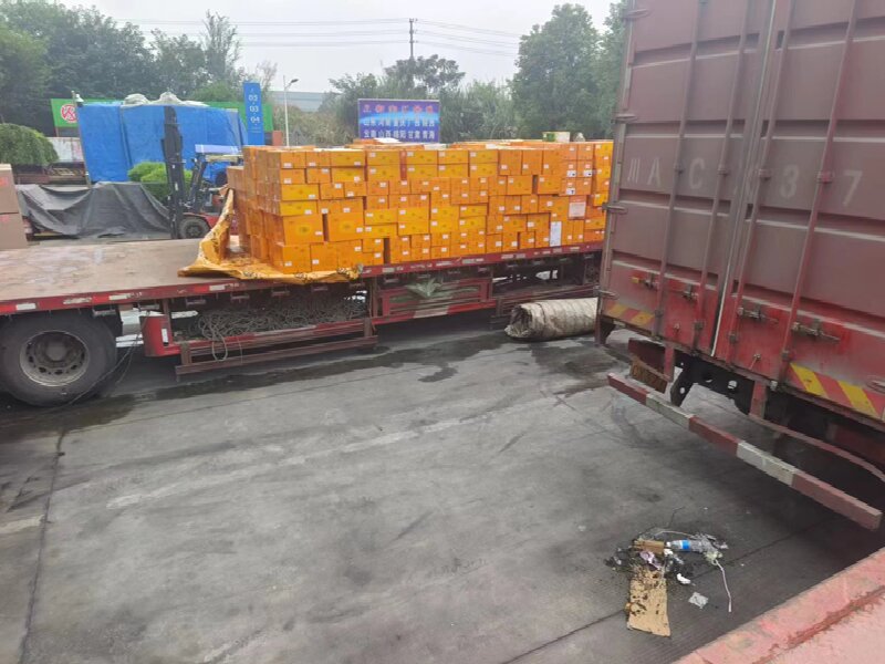 蘇州到燈塔物流公司